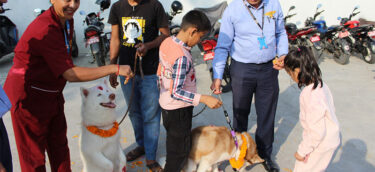 canine-security-img-1