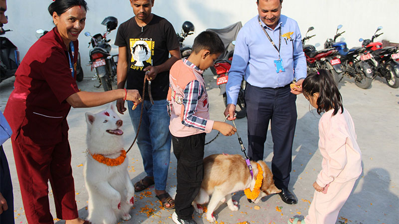 canine-security-img-1